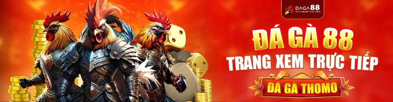 Đá Gà Trực Tuyến T8BET WIN
