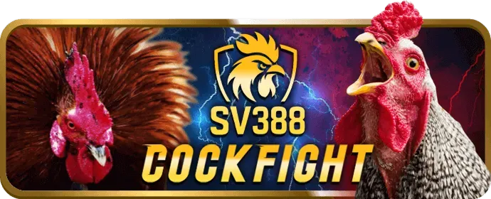 Tin tức cá độ bóng đá T8BET WIN